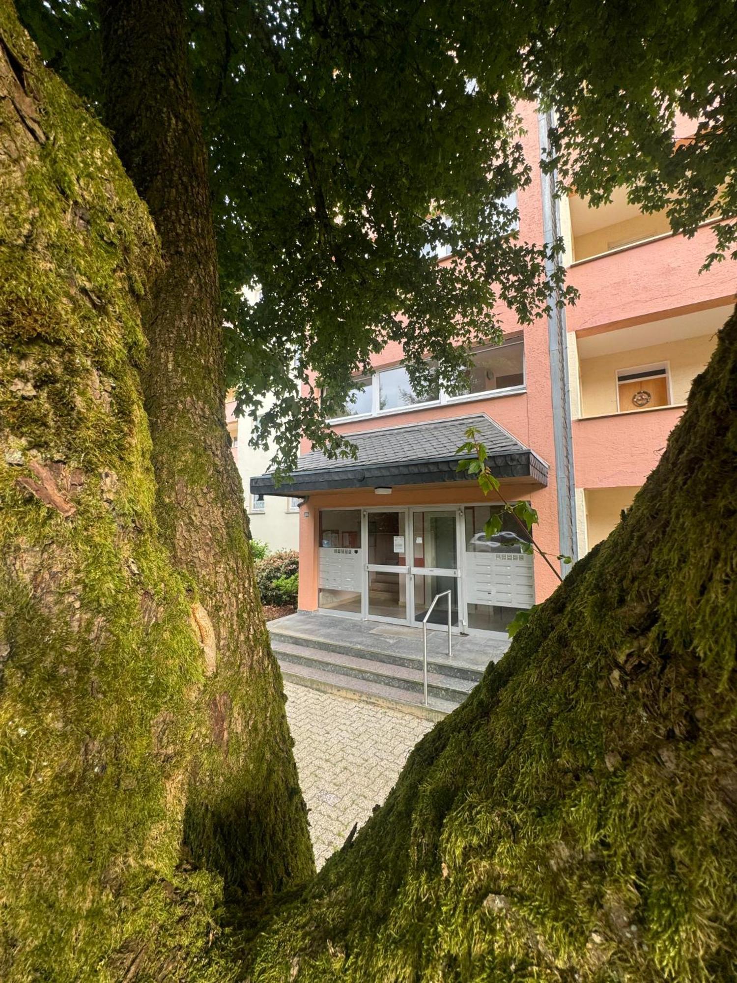 Ferienwohnung Brilon - Willingen Exterior foto